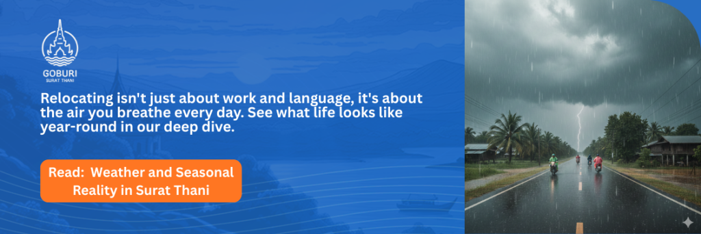 who should not move to surat thani? - weather and seasonal reality